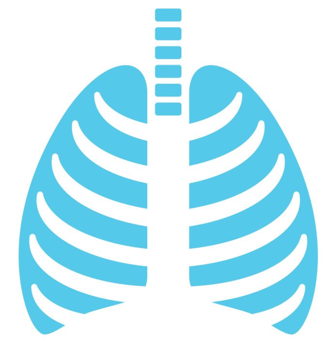 Mr Ian Hunt logo